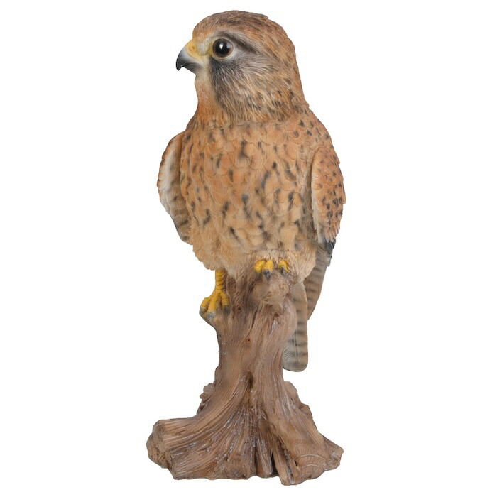 置物 鳥 チョウゲンボウ 高さ21.5cm woobia ウービア 野鳥 リアル おしゃれ 玄関 インテリア オブジェ ガーデン 北欧 ナチュラル 猛禽 動物 アニマル 癒し 鳥好き 出窓 棚 玄関飾り プレゼント ギフト バードウォッチング