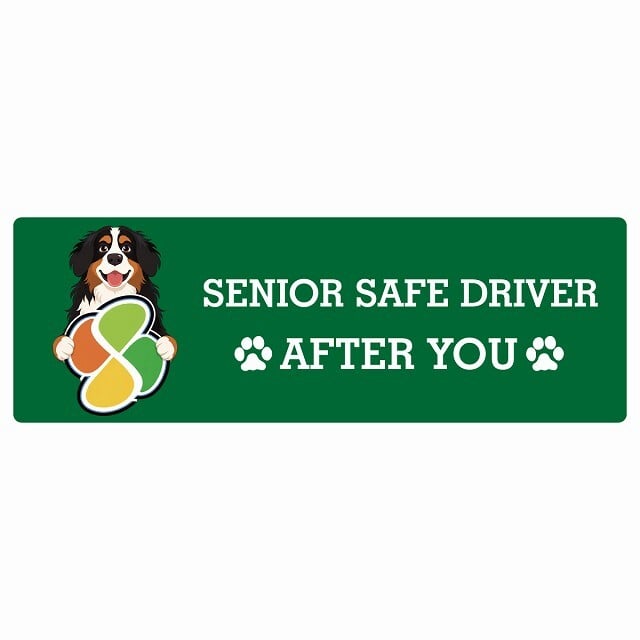 カーサイン 高齢者マーク SENIOR SAFE DRIVER バーニーズマウンテンドッグ ステッカー シール 長方形 20x6.7cm 肉球 日本製 車