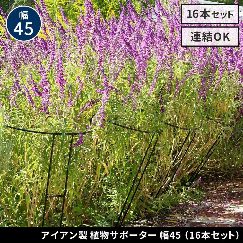 アイアン製植物サポーター 幅45 16本セット IF-N0047-16P奥行23 高さ85 ハーフリング 倒れ防止 広がり抑制 スチール 鉄製 支柱 園芸 植物サポート フラワーサポート 菜園 花壇
