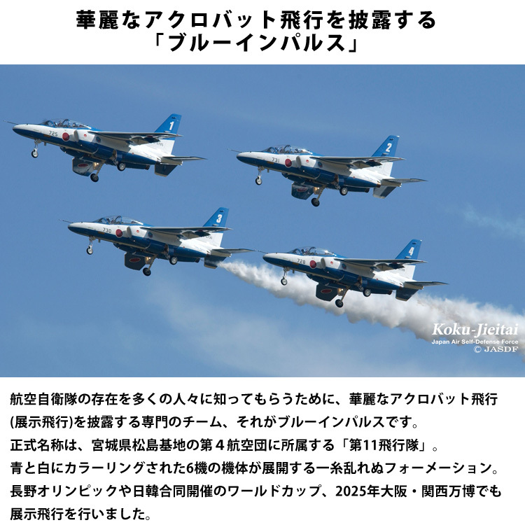 ドライTシャツ ブルーインパルス 基地ショップ限定 Tシャツ 航空自衛隊 自衛隊 グッズ 半袖 エンブレム オリジナル 紺 ネイビー 速乾 吸水 アクロバット飛行 展示飛行 正規品 防衛省 ワンポイント バックプリント メンズ ユニセックス メッシュ ギフト プレゼント