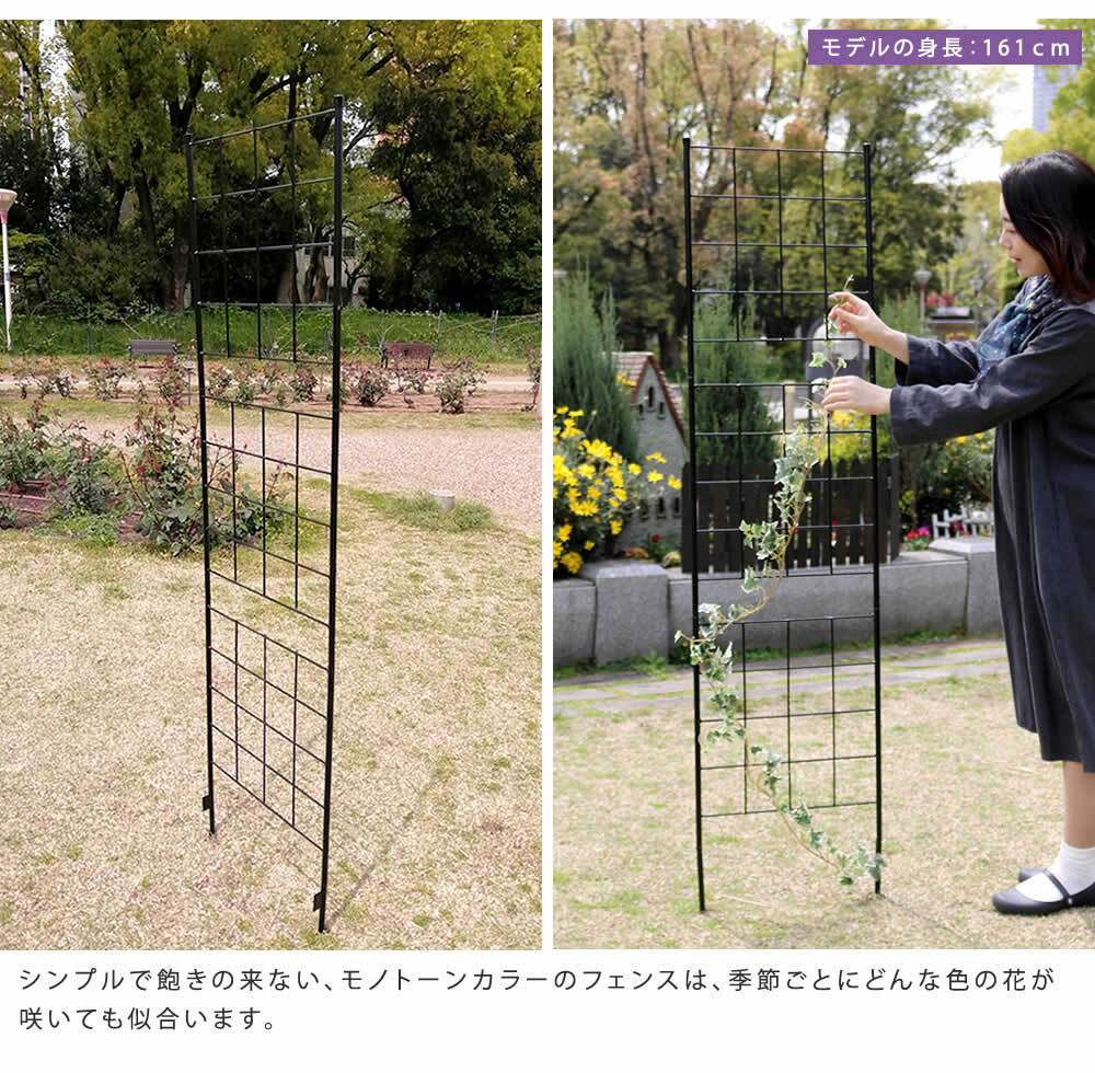 アイアンフェンス 高さ176cm 幅42cm 2枚セット ガーデンフェンス スリム 地面に挿す トレリス つる植物 薔薇 バラ クレマチス 朝顔 グリーンカーテン 園芸 柵 仕切り 格子 アンティーク ブラック 屋外 ベランダ プランター グラフ 花壇用