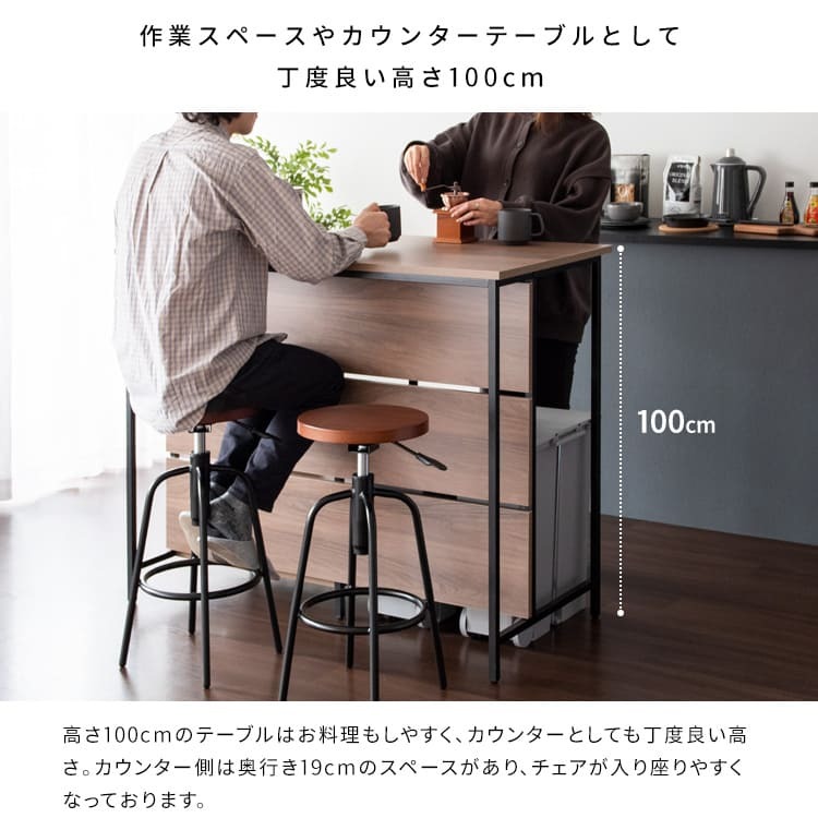 キッチンカウンター ゴミ箱収納 間仕切り レンジラック Salus ごみ箱上 ラック レンジ台 レンジボード 大型レンジ対応 家電収納 ハイテーブル 収納 ごみ箱収納ラック キッチンテーブル カウンターテーブル 新生活