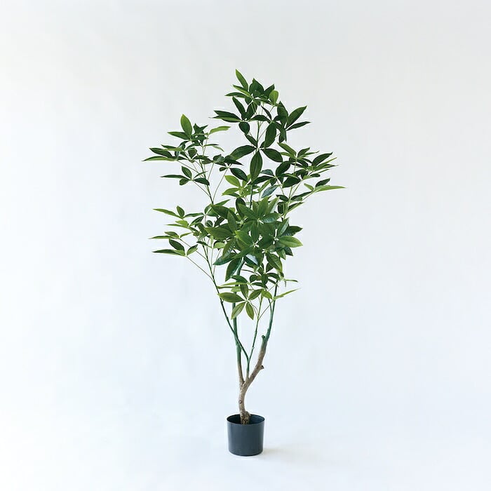 観葉植物 造花 パキラ BROWN 全高約175cm 大型 フェイクグリーン 高級 本物そっくり リアル おしゃれ インテリア 人工観葉植物 アーティフィシャルグリーン オフィス 店舗 ホテル 開店祝い 新築祝い 室内 リビング 玄関 風水 フェイク