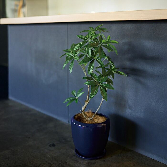 観葉植物 造花 パキラ BROWN 全高約90cm 中型 フェイクグリーン 本物そっくり おしゃれ インテリア 人工観葉植物 アーティフィシャルグリーン オフィス 店舗 ホテル 開店祝い 室内 発財樹 フェイク