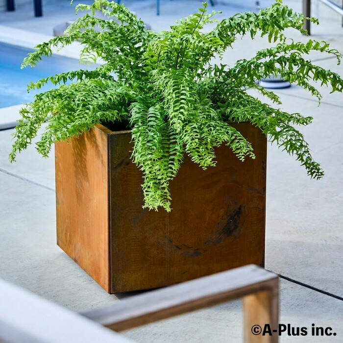 コールテン鋼 高級植木鉢 おしゃれ 大型 スクエア 50cm四方 アンティーク 経年美 Patina スクエアプランターL500 A-PLUS 屋外 観葉植物 多肉植物 サボテン シンボルツリー 寄せ植え 花 鉢カバー 北欧 モダン 玄関 庭 パティナ