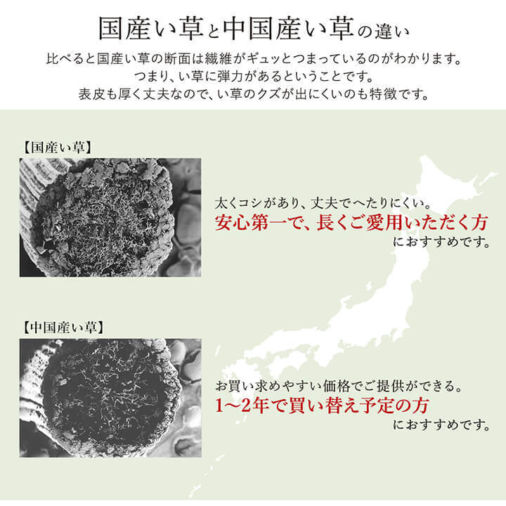 夏ラグ 夏用カーペット ラグ い草 国産 純国産 日本製 シンプル 無地風 抗菌防臭 自然素材 ウレタン 約140×200cm