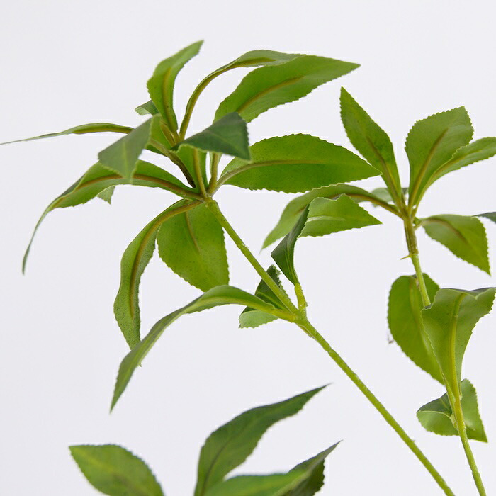 観葉植物 造花 アセビ BROWN 全高約150cm 大型 フェイクグリーン 本物そっくり おしゃれ インテリア 人工観葉植物 アーティフィシャルグリーン オフィス 店舗 ホテル 開店祝い 室内 馬酔木 あせび フェイク
