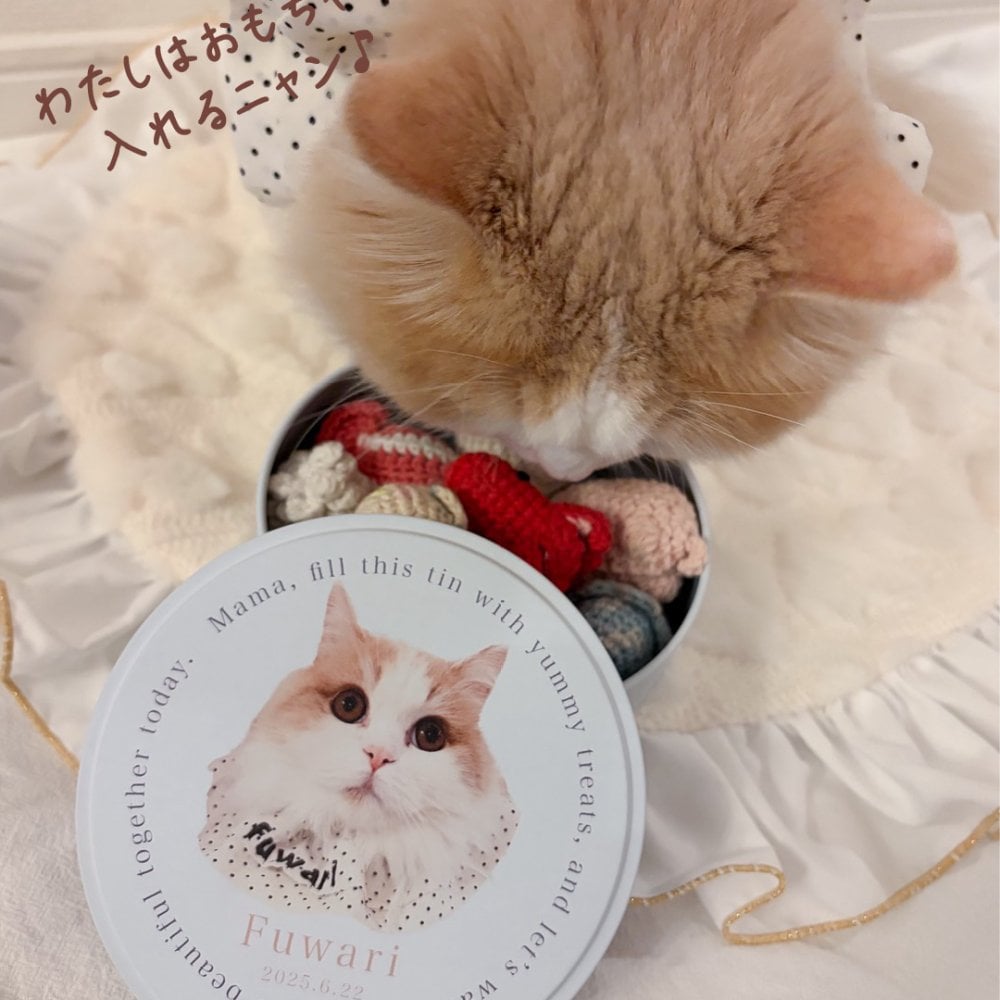 ペットのお写真で作るおやつ入れマルチ缶｜うちの子の写真で作るミニタオル 犬 猫 名入れ プチギフト【送料無料】ハンカチ ギフト お誕生日 母の日 父の日 敬老の日 還暦祝い クリスマスプレゼント