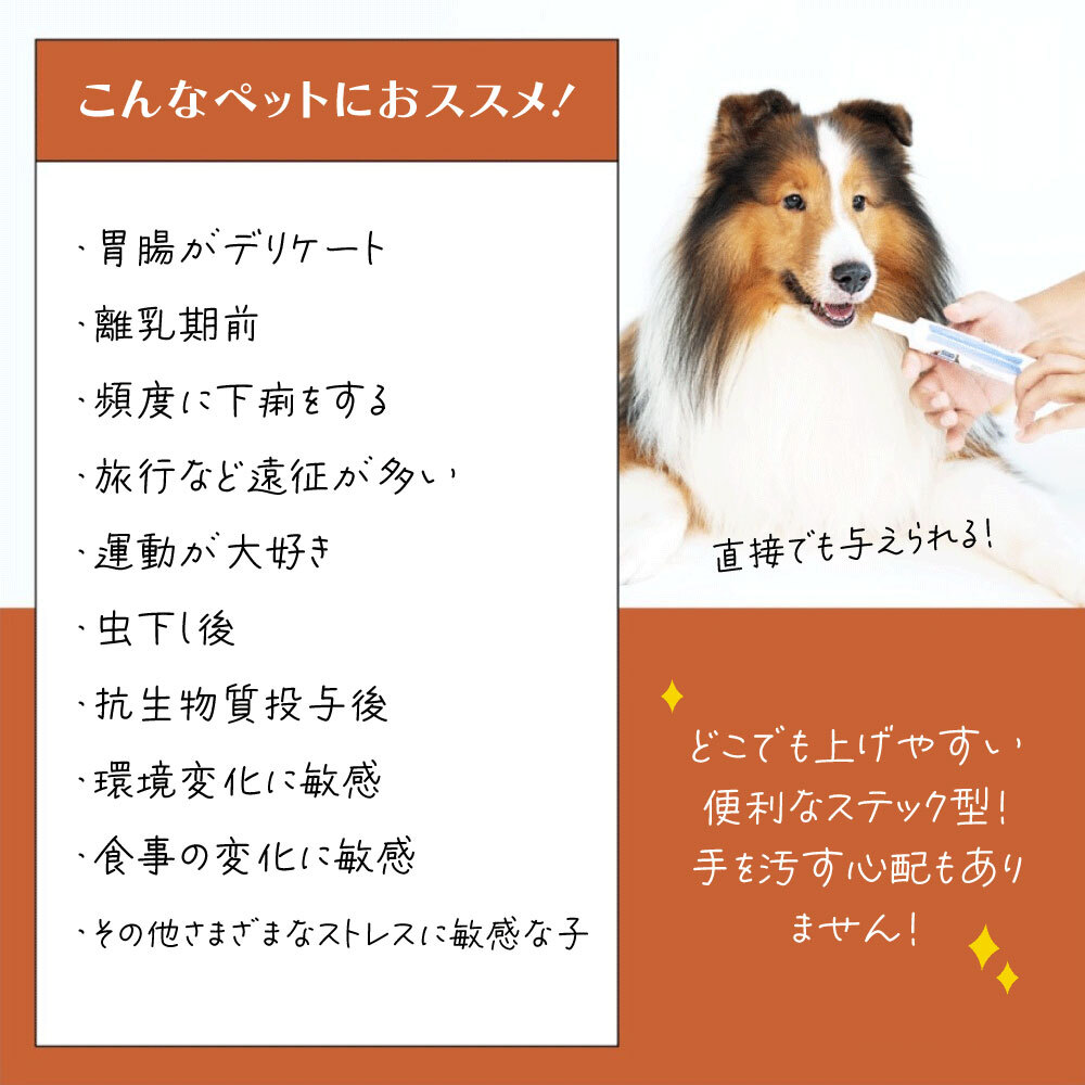 ファンタジーワールド カラヘルス サプリメント プロバイオティクス プラス 30g お腹