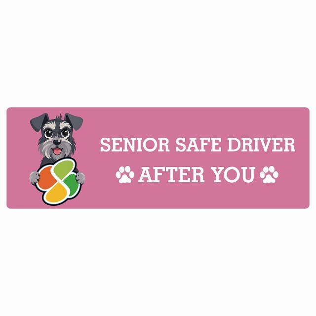 カーサイン 高齢者マーク SENIOR SAFE DRIVER ミニチュアシュナウザー ステッカー シール 長方形 20x6.7cm 肉球 日本製 車