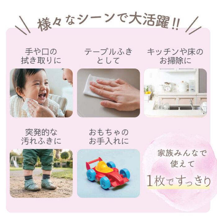 手口ふき 12個セット 90枚 × 12個 セット WT004