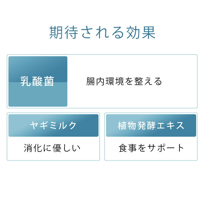 日本生菌研究所 アリメミルク 酵素＋ 90g　犬猫用