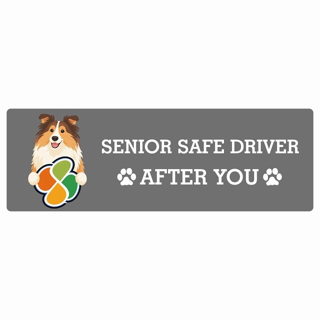カーサイン 高齢者マーク SENIOR SAFE DRIVER ラフコリー ステッカー シール 長方形 15x5cm 肉球 日本製 車