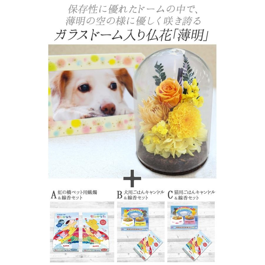 【動物病院 ペットサロン御用達】ペット お供え 仏壇 仏花 四十九日 御供 仏花 法事 亡くなった お悔み花 プリザーブドフラワー 猫 犬 ペット お供え 花 仏花 ガラスドーム 線香 ろうそく 仏花 法要 供養 水やり不要 ペット用仏具 お悔やみ クリアケース付