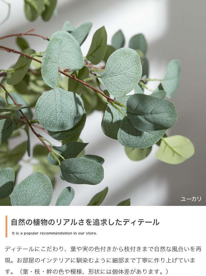 【高さ200cm】光触媒人工観葉植物 パキラ 曲がり 幅55cm×奥行50cm×高さ200cm オフィス 天然木 組立品 お部屋に気軽に飾れて空間を美しく彩るフェイクグリーン 本物の植物のようなリアルな質感とインテリアに馴染む風合いが魅力です