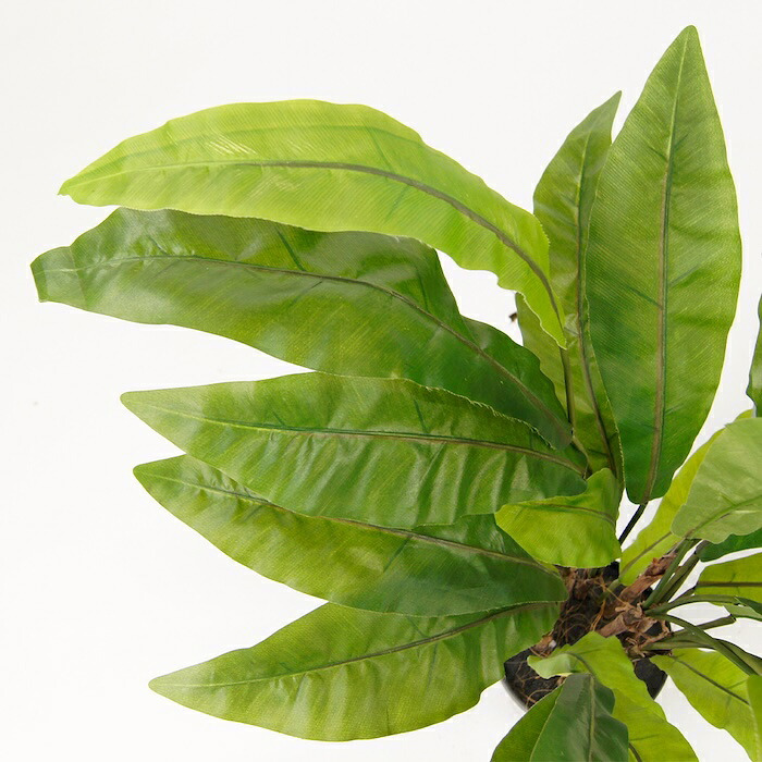 観葉植物 造花 アスプレニウム BROWN 全高約90cm 中型 フェイクグリーン 本物そっくり おしゃれ インテリア 人工観葉植物 アーティフィシャルグリーン オフィス 店舗 ホテル 開店祝い 室内 タニワタリ シダ フェイク