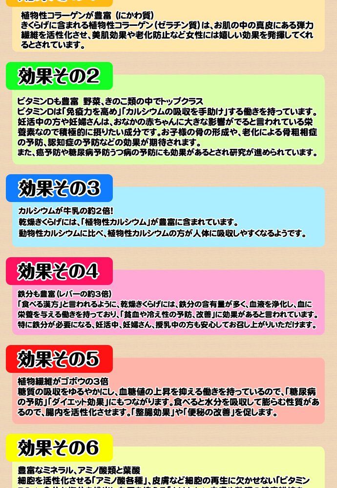 北海道産 朝採り生きくらげ 500g 菌床栽培・無農薬 ぷりぷり肉質 送料無料 ※沖縄は送料別途加算