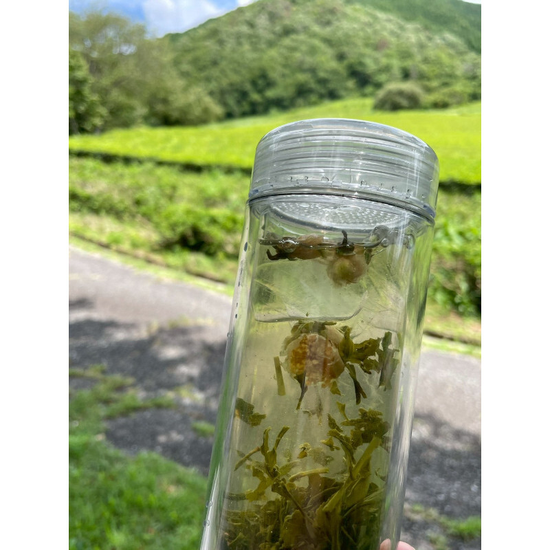 【自然栽培のお茶】茶の花煎茶ティーバッグ8包