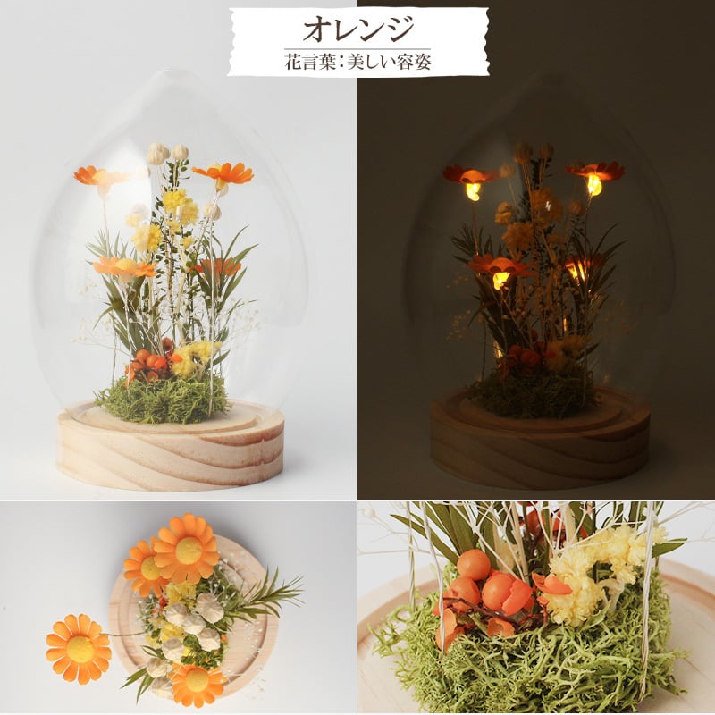 名入れ LEDフラワー マーガレット ガラスドーム タマゴ型 フラワーギフト 花ギフト 間接照明 インテリア プレゼント 誕生日 記念日 母の日 お祝い 女性