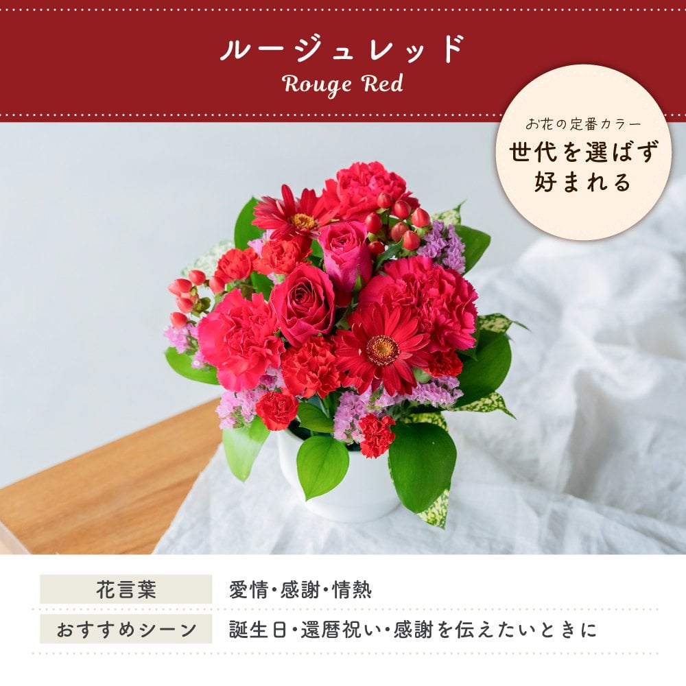 カラフルガーデン アレンジメントS  生花 花市場から直送 お祝い 誕生日 記念日