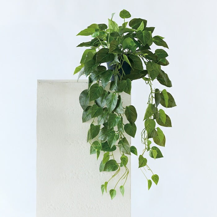 観葉植物 造花 ポトス BROWN 全高約80cm フェイクグリーン 高級 本物そっくり リアル おしゃれ 卓上 インテリア 人工観葉植物 アーティフィシャルグリーン 垂れ下がる つる オフィス 店舗 開店祝い 室内 リビング 玄関 トイレ 風水 フェイク