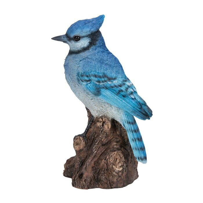 置物 鳥 アオカケス 高さ16cm woobia ウービア 野鳥 リアル おしゃれ 玄関 インテリア オブジェ ガーデン 北欧 ナチュラル 青い鳥 動物 アニマル 癒し 小鳥 鳥好き 出窓 棚 プレゼント ギフト バードウォッチング