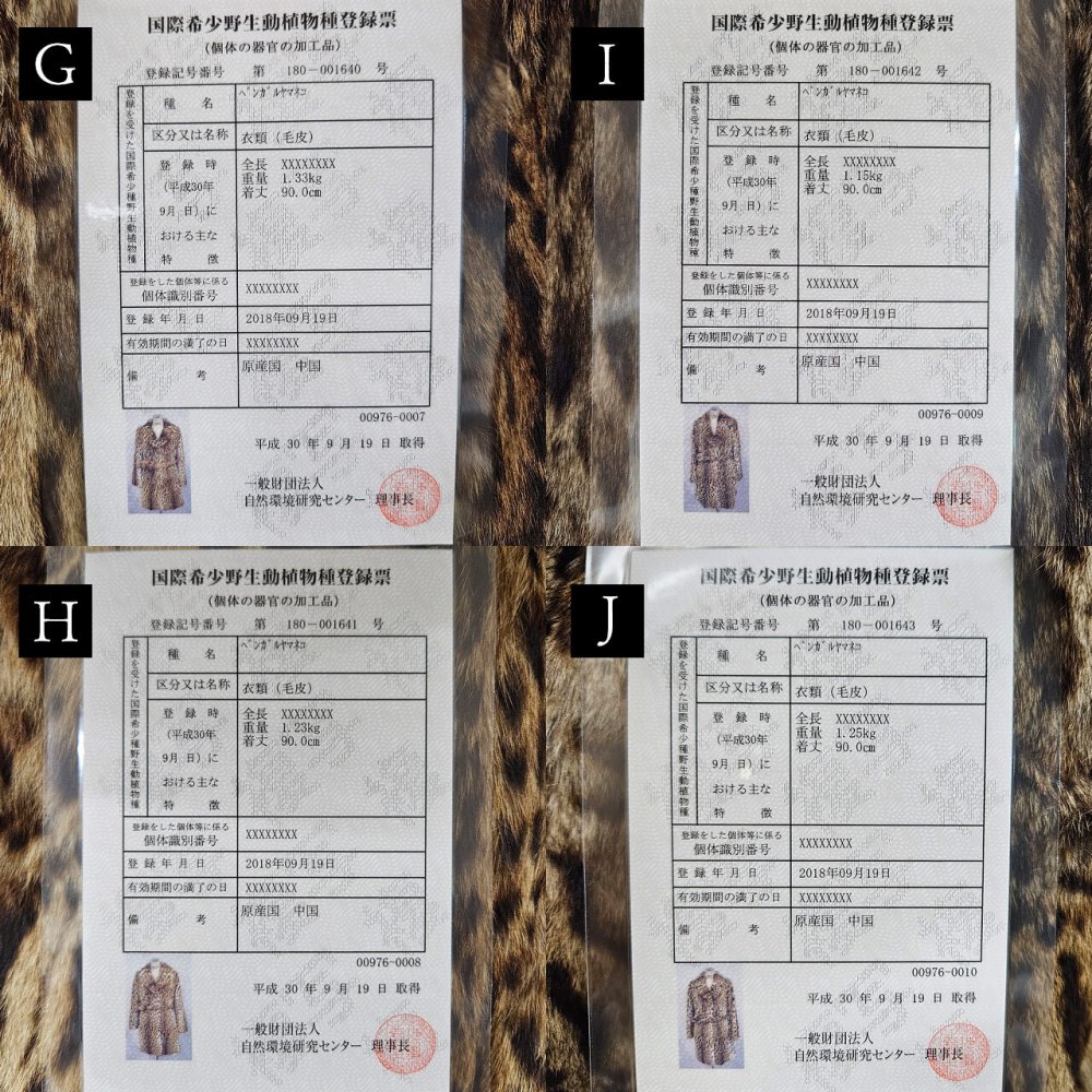 レオパード キャット コート 毛皮 テーラーカラー ベルト 付き 着丈90cm レディース ナチュラル ギフト プレゼント 7F (01000865r)