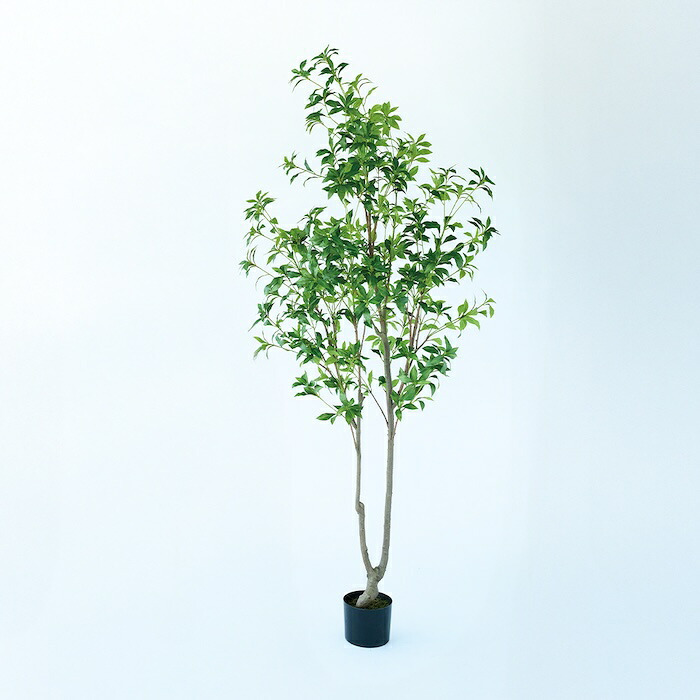 観葉植物 造花 アセビ BROWN 全高約210cm 大型 フェイクグリーン 高級 本物そっくり リアル おしゃれ 和風 和モダン インテリア 人工観葉植物 アーティフィシャルグリーン オフィス 店舗 ホテル 旅館 開店祝い 室内 リビング 玄関 風水 庭木 馬酔木