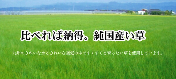 夏ラグ 夏用カーペット 純国産 イ草花ござカーペット 『かれん』 江戸間3畳(約174×261cm)