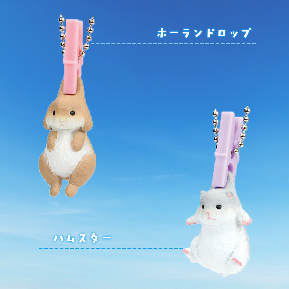 【5種類セット】 ガチャ ガチャガチャ コンプリート 中身 洗濯日和