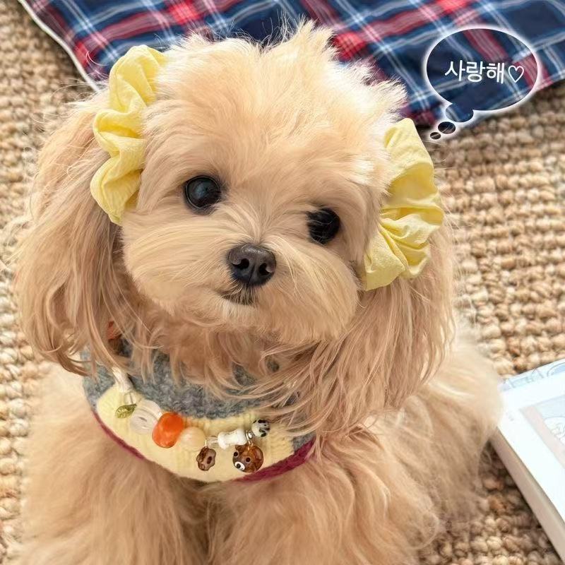 犬用 ヘアゴム 2点セット ペット用 ヘアアクセサリー シュシュ 犬 リボン風 耳飾り ヘアアクセ かわいい 小型犬 ペット用品 おしゃれ イエロー