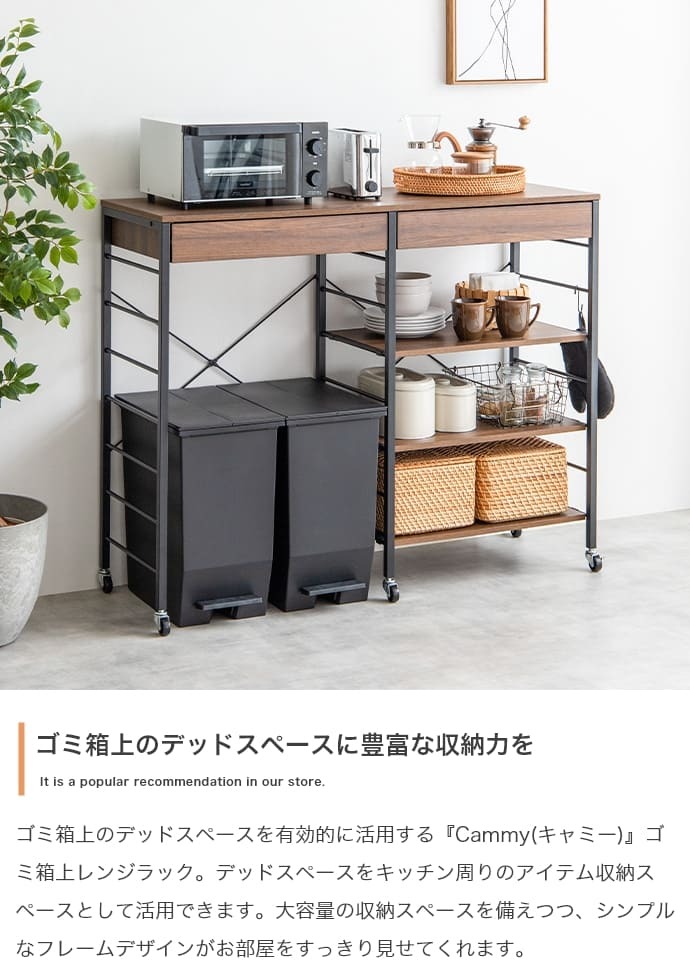キッチンカウンター ゴミ箱収納 ゴミ箱上ラック レンジラック ダストボックス キッチンラック レンジ台 収納棚 おしゃれ 北欧 シンプル キッチン 収納 間仕切り 120cm幅 背面収納ありタイプ ：