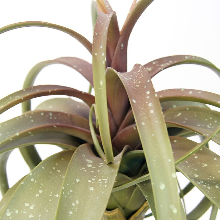 観葉植物 造花 チランジア ミックス BROWN 全高約81cm 中型 フェイクグリーン 本物そっくり おしゃれ インテリア 人工観葉植物 アーティフィシャルグリーン オフィス 店舗 ホテル 開店祝い 室内 エアプランツ フェイク
