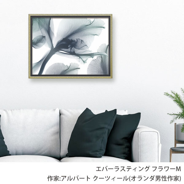 X RAY キャンバスアート エバーラスティング フラワーM XR-12505 送料無料 アートフレーム 花 葉っぱ 葉 X線 絵画 アート インテリア