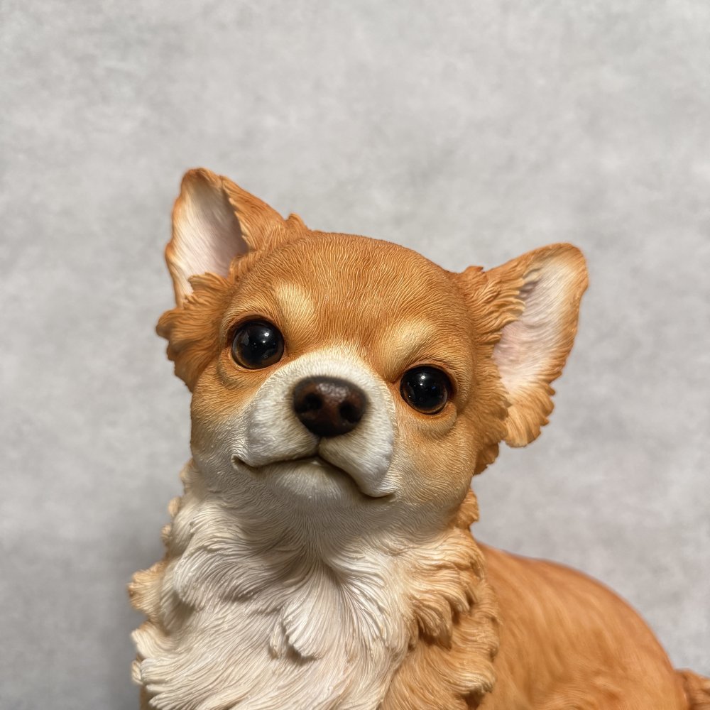 犬 置物 大きい 見上げるチワワ 横幅26.8cm woobia ウービア かわいい おしゃれ ガーデン インテリア オブジェ 巨大 プレゼント 北欧 玄関 雑貨 動物 モダン 面白い 庭 ギフト 屋外 家 リアル 玄関先 ガーデンオーナメント