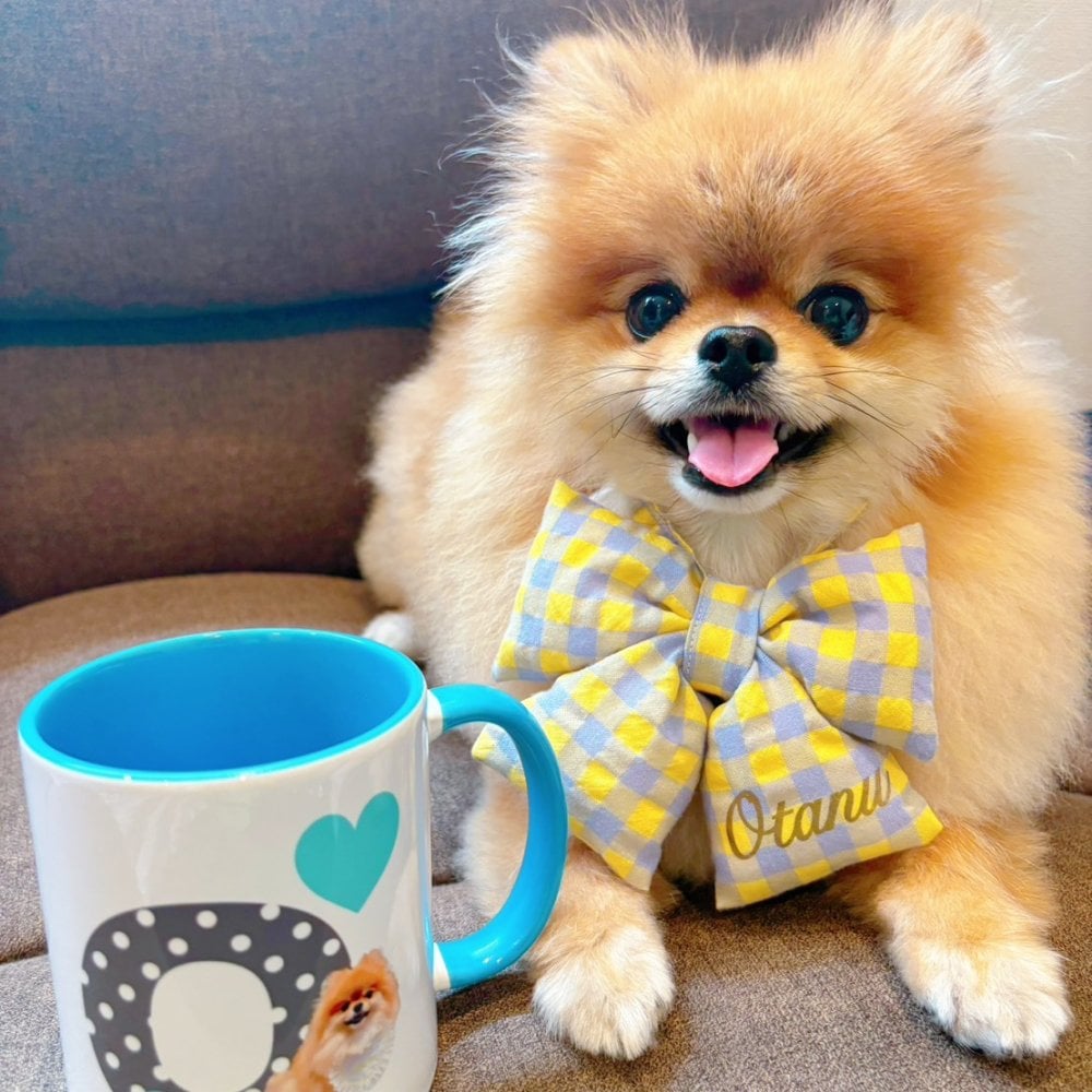 うちの子 バイカラー イニシャルマグカップ｜ペット写真で作るコップ 犬 猫 名入れ お誕生日 母の日 父の日 敬老の日 還暦祝い クリスマスプレゼント