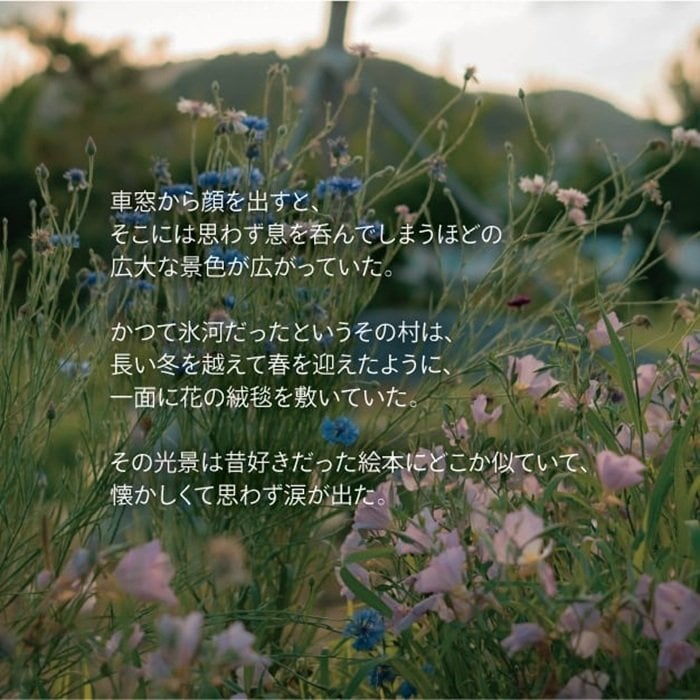 花畑広がるピローミスト《flower hill》｜天然精油・爽やかな花の香り