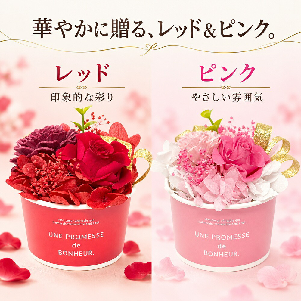 プリザーブドフラワー ギフトアレンジメントソルベ / プリザーブドフラワー バラ 花 ギフト 誕生日 母の日 敬老の日 結婚祝い 送別 新築祝い おしゃれ ケース付き / 色鮮やかなローズと上品なリボンが彩る そのまま飾れる華やかなフラワーギフト