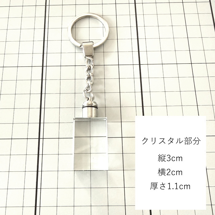 ３D彫刻 うちの子光るクリスタルキーホルダー　　犬 猫 ペット 立体 名入れ メモリアル オーダー ガラス ギフト プレゼント キレイ シンプル 透明 クリア 女性 男性