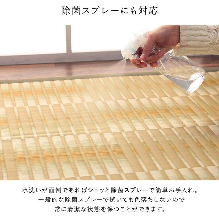 ラグ カーペット 洗える ござ 日本製 国産 丈夫 除菌スプレー対応 敷詰 敷物 アウトドア レジャー ペット 江戸間4.5畳（約261×261cm）