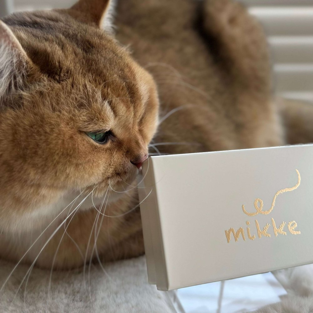 ひげ専用ケース『mikke』小物入れ 猫 ギフト プレゼント 日本製