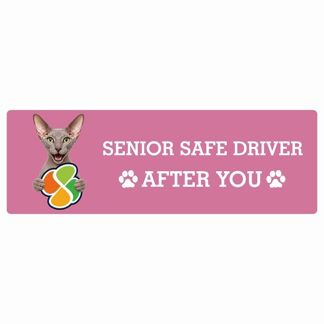 カーサイン 高齢者マーク SENIOR SAFE DRIVER ピーターボールド ステッカー シール 長方形 15x5cm 肉球 日本製 車
