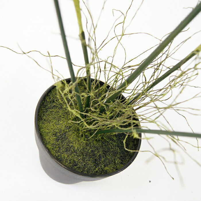 観葉植物 造花 アスパラガス BROWN 全高約90cm 中型 フェイクグリーン 本物そっくり おしゃれ インテリア 人工観葉植物 アーティフィシャルグリーン オフィス 店舗 ホテル 開店祝い 室内 アスパラガスファーン シダ フェイク