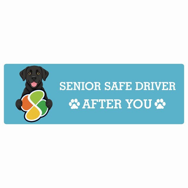 カーサイン 高齢者マーク SENIOR SAFE DRIVER ラブラドール ステッカー シール 長方形 15x5cm 肉球 日本製 車