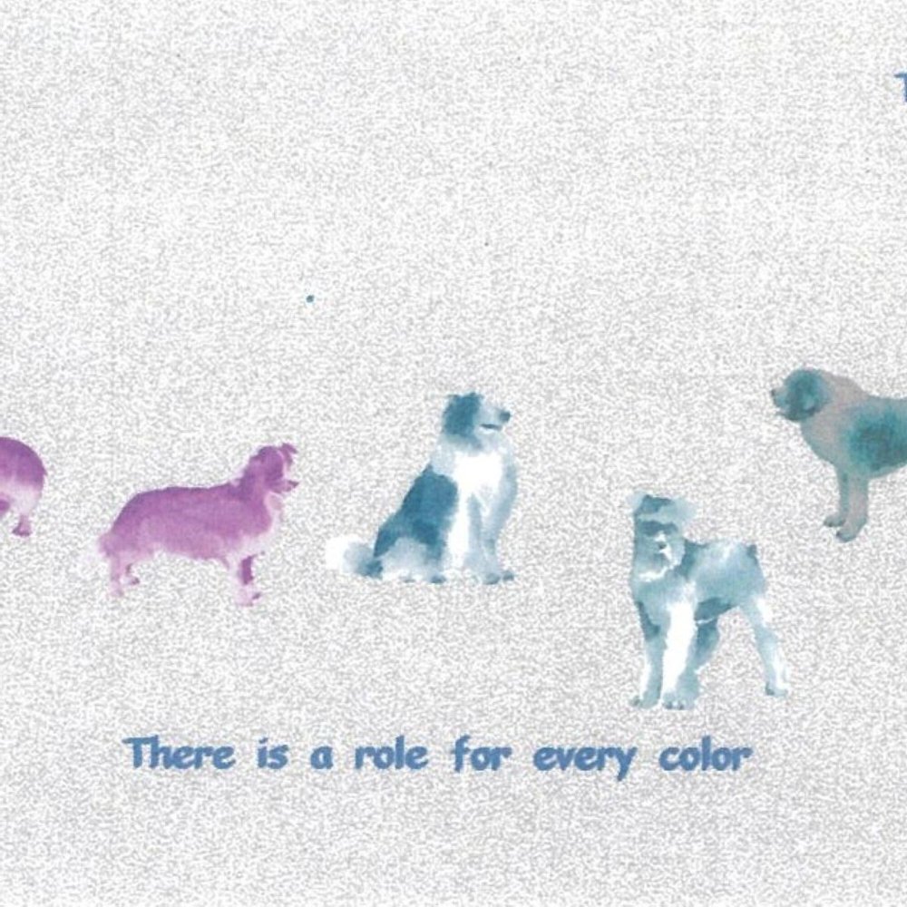 犬柄 長袖シャツ【すべての色に、役割がある。】 ｜綿100%・日本製｜62906