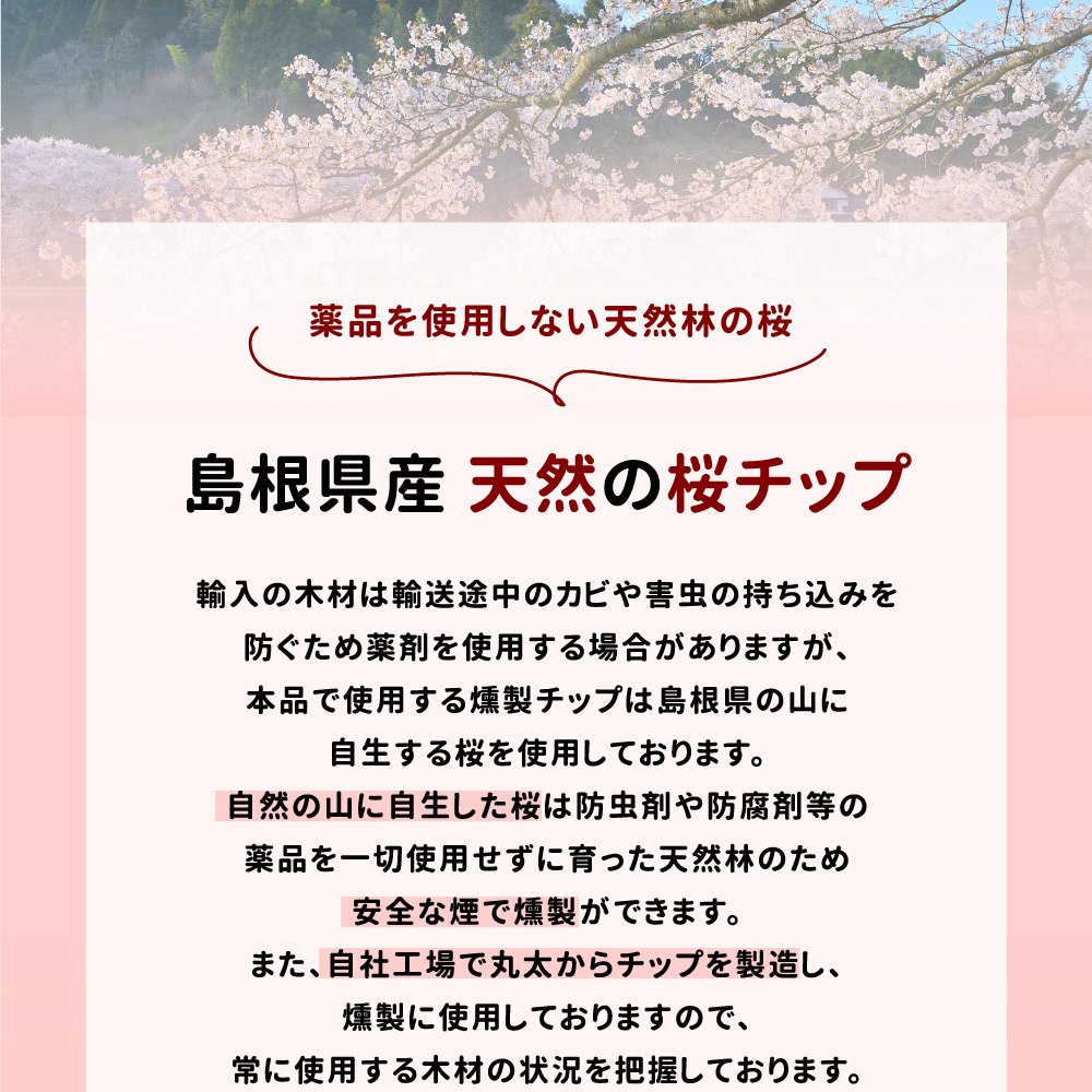 敬老の日 業務用 おつまみ スモークミックスナッツ 4種 537g テレビでも紹介された スナハラ スモークナッツ 燻製ナッツ メール便 高級 アーモンド カシューナッツ 送料無料 燻製 ミックスナッツ 有塩 4種 業務用 おつまみ お取り寄せ 家飲み 酒の つまみ スナック チャーム お通し