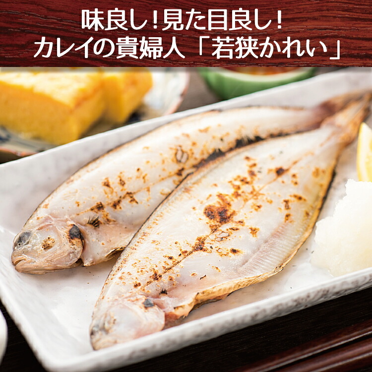 若狭カレイ 一塩干し ミニサイズ 3尾 3セット 6セット カレイ 一夜干し 保存料不使用 干物 天神講 天神様