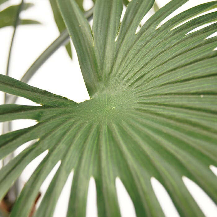 観葉植物 造花 シュロチク BROWN 全高約180cm 大型 フェイクグリーン 高級 本物そっくり リアル おしゃれ 和風 和モダン インテリア 人工観葉植物 アーティフィシャルグリーン オフィス 店舗 ホテル 旅館 開店祝い 室内 リビング 玄関 風水 棕櫚竹