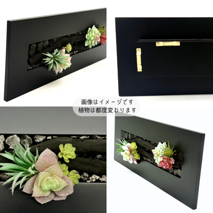 【送料無料】サウススカイ 紀州備長炭 炭双華 黒 多肉植物 インテリア フレーム おしゃれ 和風 和室 和モダン 玄関   飾り オブジェ 消臭 脱臭 除湿 風水 上品 センスいい かっこいい 可愛い 華やか 飲食店 旅館 オフィス 応接室 新築祝 開店祝 誕生日 プレゼント ギフト