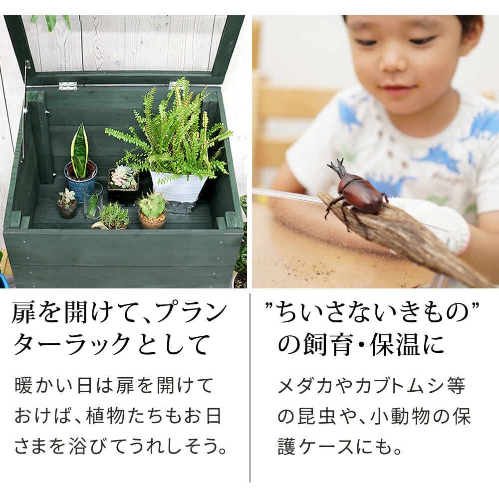 ガーデン エクステリア 木製窓付グリーンハウス （温室） 「OWN」（オウン） GRH45DGR 温室 木製 ウッド 簡易 観葉植物 多肉植物 園芸 おしゃれ 飼育 ケース 保温